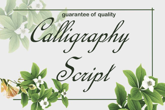Calligraphy Script Review
