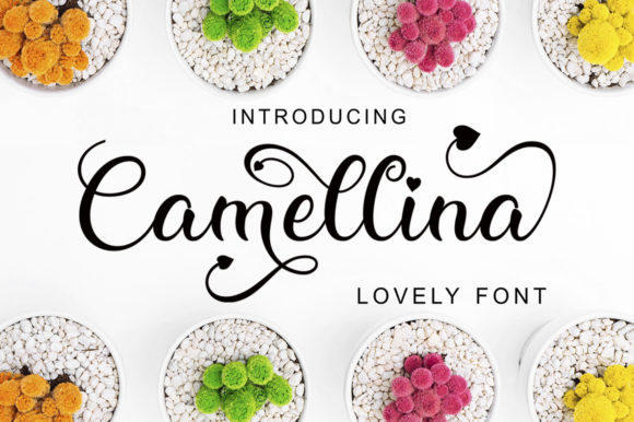 Camellina Script: A Stylish Font for Editorial Design