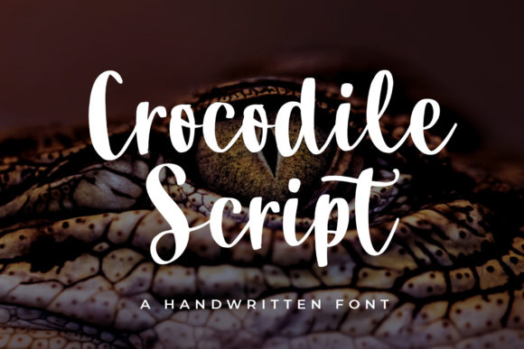Crocodile Script Font Review