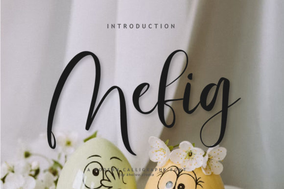 Mefig Script: A Font for Creative Campaigns