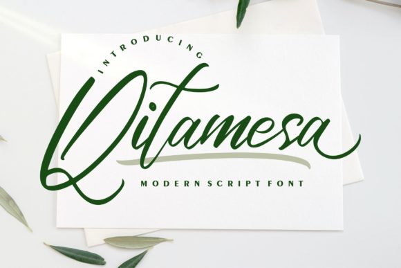 Qitamesa Script: A Font That Speaks