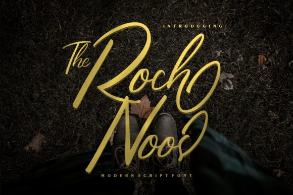 The Roch Noos Script: A Font That Elevates Your Brand